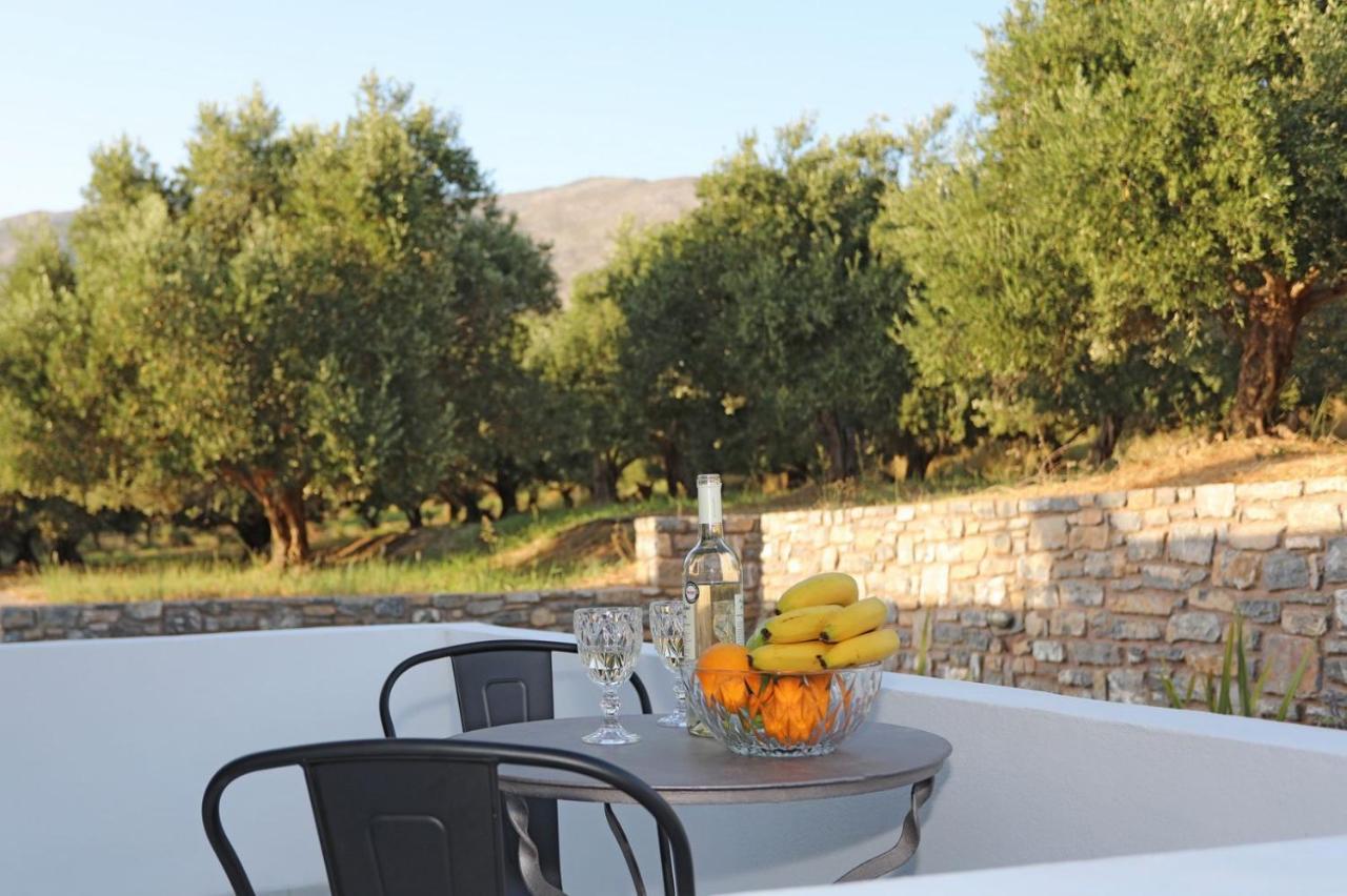 Villa Drosia - Nature Getaway! Плакиас Экстерьер фото